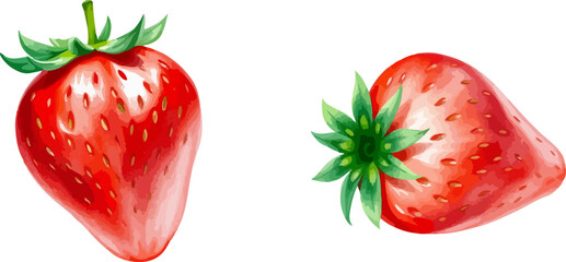 Watercolor vector illustration of a strawberry.