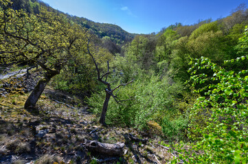Ein Blick in dax mystische Bodetal