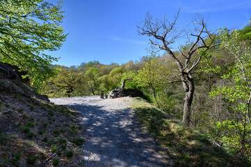 Schöner Rastplatz auf der Wanderung durch das Bodetal