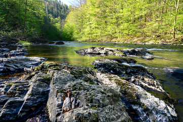 Felsen im Wasser der Bode