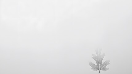 Obraz premium Single Gray Leaf on White Background Minimalist Nature Design