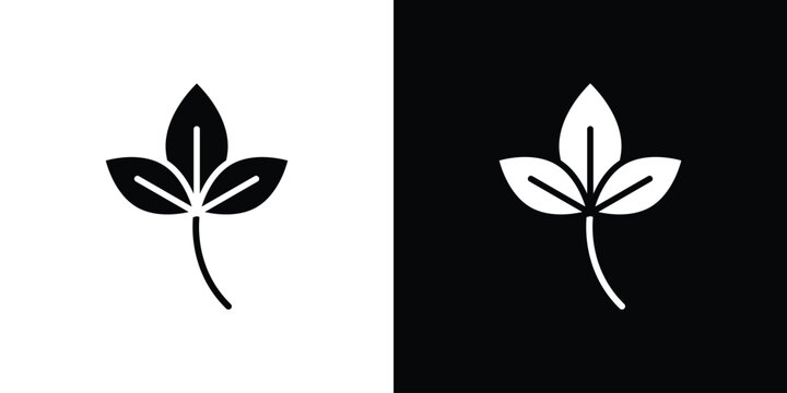 Basil icon collection. Vector icon design template