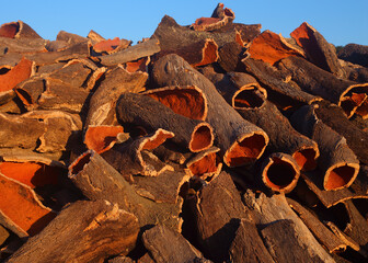 Portugal, Alentejo region. A huge pile of newly harvested cork oak bark drying in the late...