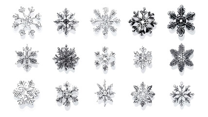 Snowflake accents illustration wide angle