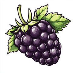 blackberry with leaves