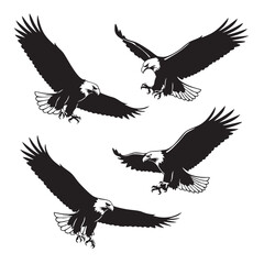 Obraz premium Four black eagles in flight with spread wings and talons extended bird birds