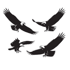 Obraz premium Four eagles in flight black and white silhouettes bird birds