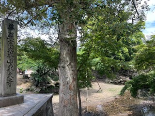 Todaiji Temple in Nara, Japan	
