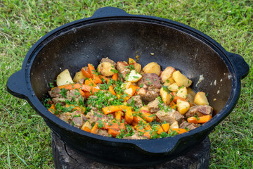 Rustic Stew with Potatoes, Carrots, and Meat in Cast Iron Pot Outdoors – Traditional Countryside Food Cooked Over Fire, Ideal for Camping and Culinary Themes