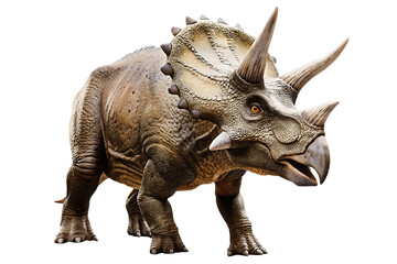Obraz premium triceratops isolated on white background PNG, AI GENERATED