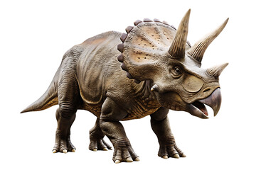 Fototapeta premium triceratops isolated on white background PNG, AI GENERATED