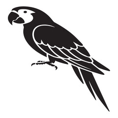 Fototapeta premium A vibrant parrot with sleek feathers perches gracefully, isolated on white background, capturing the essence of exotic avian beauty