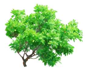 Lush green tree illustration nature scene digital art vibrant colors. Isolated on transparent background, png.