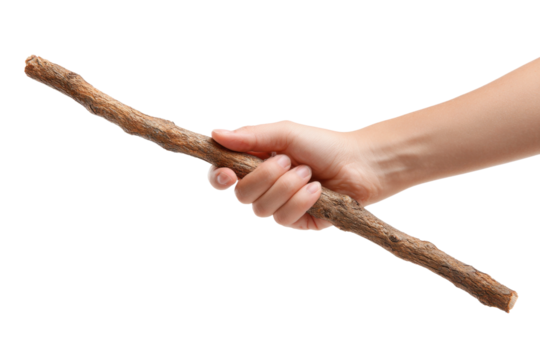 Hand holding stick focused image conceptual. Isolated on transparent background, png.