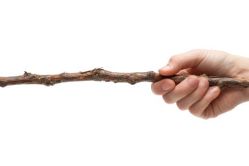 Hand holding a stick indoor setting object photography close-up. Isolated on transparent background, png.