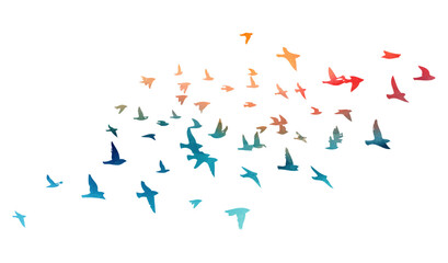 Flying birds blue and orange silhouette flock. hand drawing. Not AI. Vector illustration