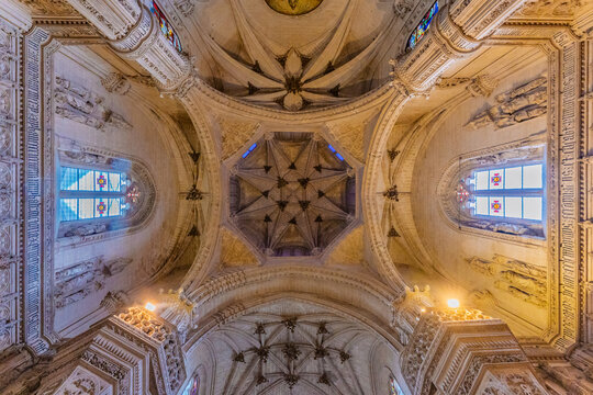 Cathedral Ceiling Masterpiece