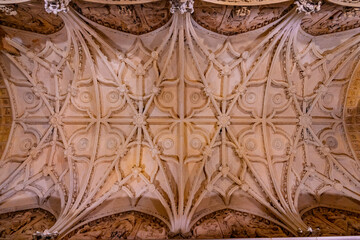 Spanish Vaulted Ceiling Marvel