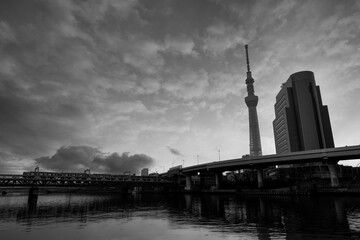 隅田川から望むスカイツリー