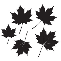 Obraz premium Elegant Silhouette of Maple Leaves A Symbolic Representation of Autumnal Beauty and Seasonal Change in Minimalist Black and White Design