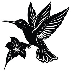 Obraz premium Pure black design of a hummingbird hovering in flight while sipping nectar from a blooming flower, wings blurred and beak inside the petal, isolated on white background. 