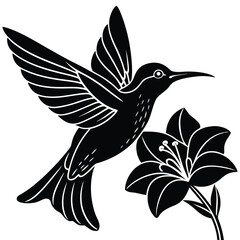 Obraz premium Pure black design of a hummingbird hovering in flight while sipping nectar from a blooming flower, wings blurred and beak inside the petal, isolated on white background. 
