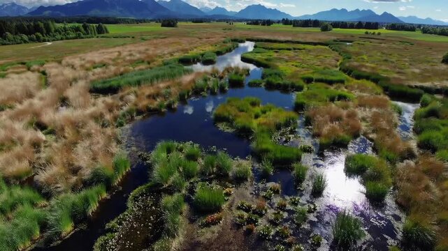 Scenic View of Murnauer Moos Wetlands in Bavaria