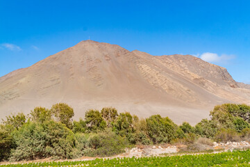 Textures of the Atacama Desert in the Vitor Gorge