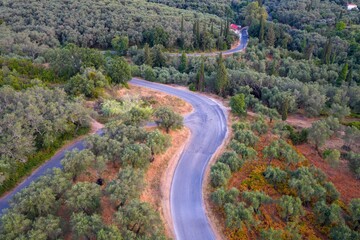 Aerial view of winding road through lush forest.