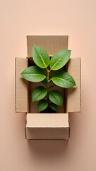 Plant delivery service concept, green plant in box, sustainable shipping and packaging