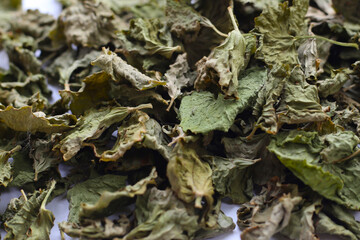 Dried gotu kola herb leaves