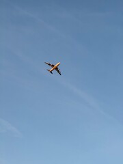 airplane in the sky