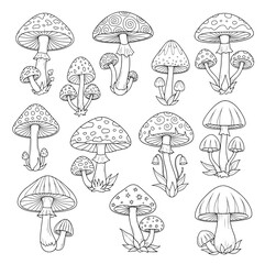 vector illustration outline of mushrooms linework SVG
