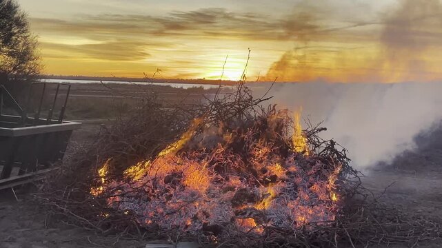QUEMA DE PODA DE VI&Ntilde;EDO
