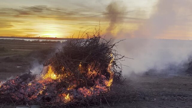 QUEMA DE PODA DE VI&Ntilde;EDO