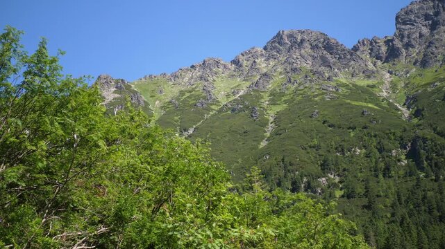 Wide panoramic shot of the Tatra Mountains under a clear blue sky. Majestic rocky peaks and green slopes bask in bright summer sunlight. Calm weather, scenic natural landscape.