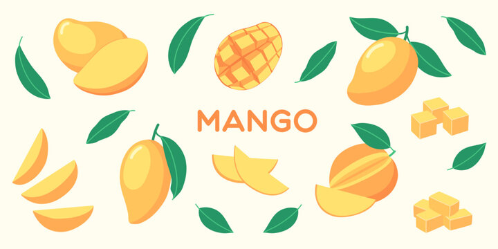 Colorful flat vector set of mango fruits with leaves, slices, cubes and half-cut pieces. For card, background, summer, tropical, kids and healthy food design. Cartoon illustration. Minimal. Clip art.