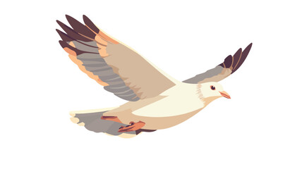 Obraz premium Elegant White Pigeon in Flight