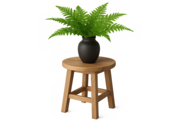 3d rendering green fern plant sprouting from black vase, perched on round wooden stool against transparent backdrop