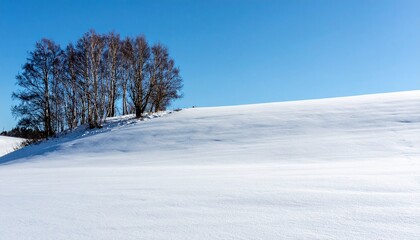 Obraz premium 裸の樹が立つ小さな雪丘と広大な右側の空白雪原、柔らかい冬の日差しに包まれた自然美あふれる静かな冬の風景