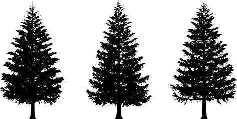 small pine tree silhouettes on the white background volume 2
