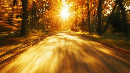 Golden Autumn Pathway Through Lush Trees in Breathtaking Light