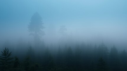 Misty Forest Scene: A hauntingly beautiful forest emerges from a blanket of fog. Silhouette of trees fades into a dreamy, ethereal landscape.