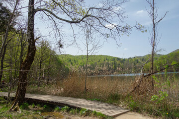 wooden platform between lakes of Plitvice Lakes National Park in Croatia