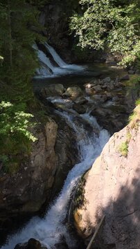 Vertical shot of a mountain stream with a tall waterfall cascading over rocks in a forest. Clear water flows rapidly on a sunny summer day. Lush greenery surrounds the scene.