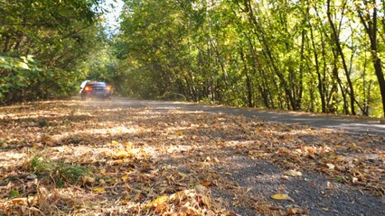Black electric sedan driving fast along an empty road on yellow leaves. Powerful electrical car crossing through alley. Colorful autumn foliage flying out from under wheel of auto. Low view
