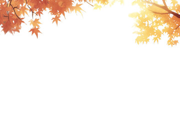 Falling Autumn Leaves Create a Stunning Frame with Peaceful Fall Season