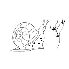 A charming hand-drawn vector illustration of a stylized snail with a playful and whimsical design.