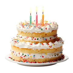 Celebrate with a two-tiered birthday cake topped with candles and sprinkles.