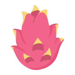 Handmade Dragon Fruit Icon Illustration